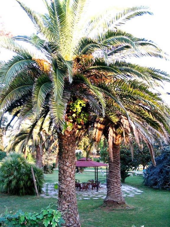 Hotel Parco Dei Principi Anzio Rom bilde